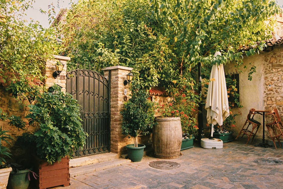 "How to Transform Your Backyard into a Cozy Outdoor Oasis"